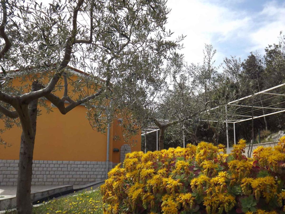 Apartments In Ravni/Istrien 30383 Exterior foto